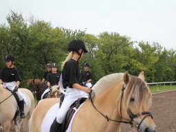img_9338_web